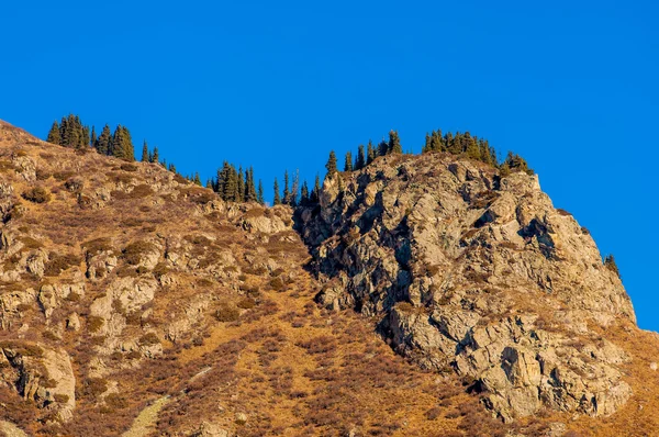 Kazachstan Tien Shan Piękny Krajobraz Widokiem Góry Zimowego Wieczoru — Zdjęcie stockowe