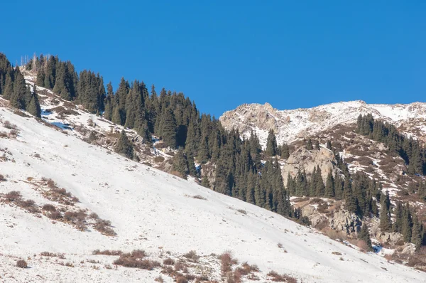 Kazachstan Tien Shan Piękny Krajobraz Widokiem Góry Zimowego Wieczoru — Zdjęcie stockowe