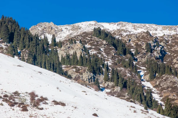 Kazakistan Tien Shan Dağ Manzaralı Güzel Manzara — Stok fotoğraf