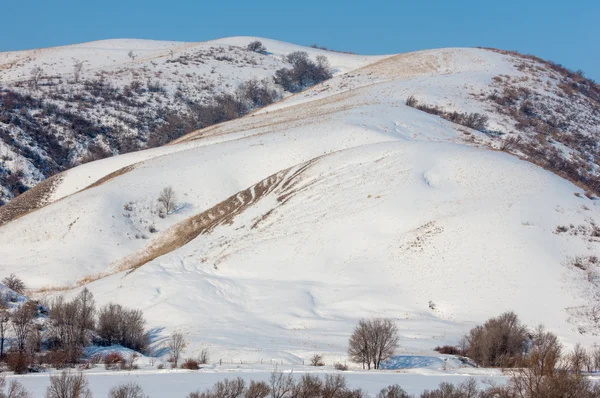 Cazaquistão Tien Shan Bela Paisagem Com Vista Para Montanha — Fotografia de Stock