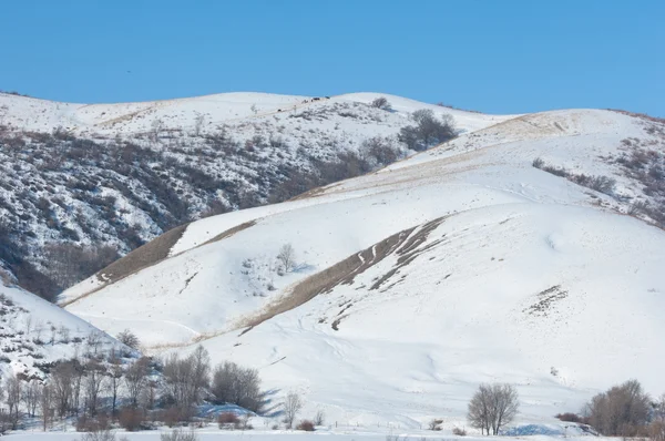 Kazachstan Tien Shan Piękny Krajobraz Widokiem Góry — Zdjęcie stockowe