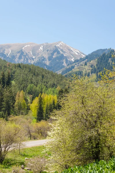 mountain park. Mountains Almaty, Park\'s first president. Kazakhstan