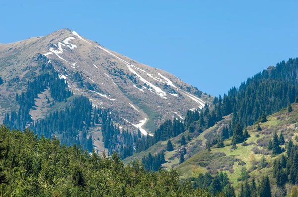 Parco Montagna Montagne Almaty Primo Presidente Park Kazakistan — Foto Stock