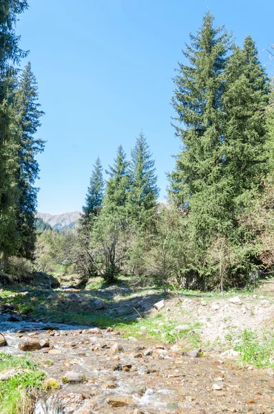 mountain park. Mountains Almaty, Park\'s first president. Kazakhstan