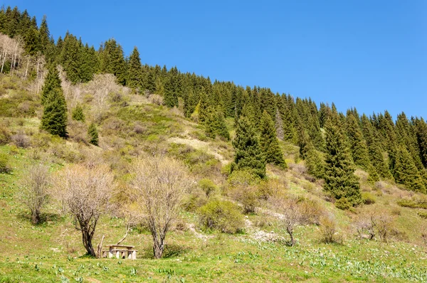 Mountain Park Mountains Almaty Park First President Kazakhstan — Stock Photo, Image