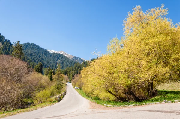 Parque Montanha Mountains Almaty Primeiro Presidente Park Cazaquistão — Fotografia de Stock