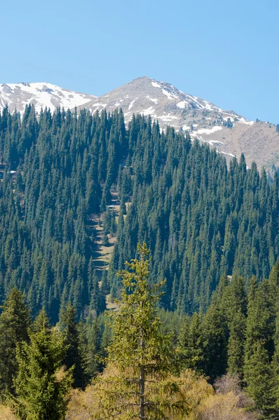 Mountain Park Bergen Almaty Parkens Första President Kazakstan — Stockfoto