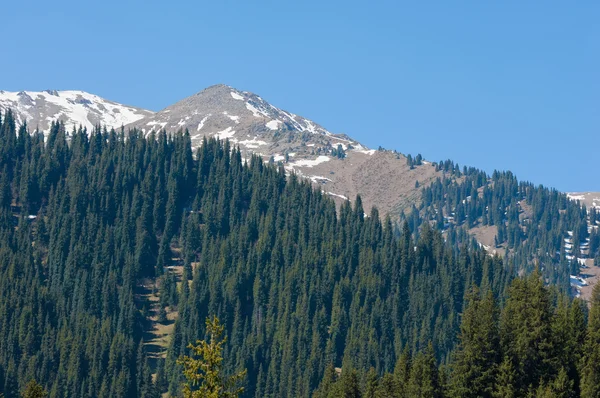 Parco Montagna Montagne Almaty Primo Presidente Park Kazakistan — Foto Stock