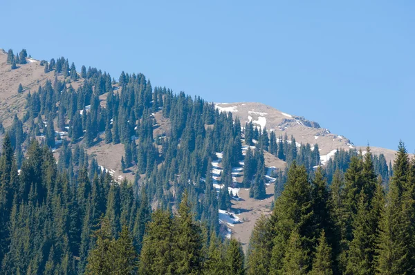 Parque Montanha Mountains Almaty Primeiro Presidente Park Cazaquistão — Fotografia de Stock