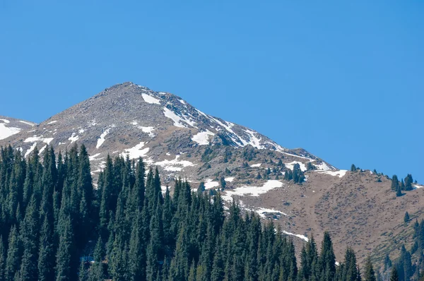 Parco Montagna Montagne Almaty Primo Presidente Park Kazakistan — Foto Stock