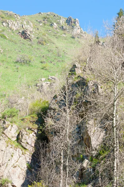 Dağ Park Dağlar Almatı Park Ilk Cumhurbaşkanı Kazakistan — Stok fotoğraf