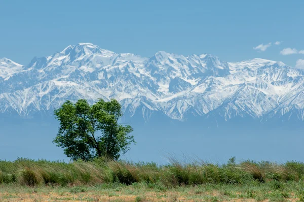 Parque Montanha Mountains Almaty Primeiro Presidente Park Cazaquistão — Fotografia de Stock