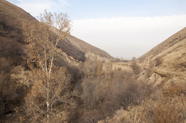 Mountains Tien Shan Kazakhstan — Stock Photo, Image