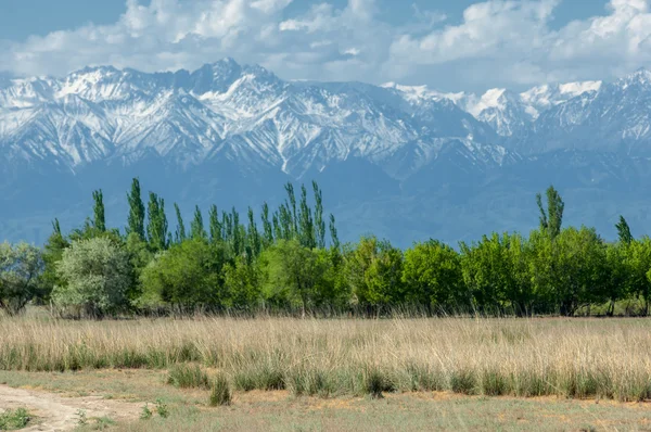 Dağ park — Stok fotoğraf