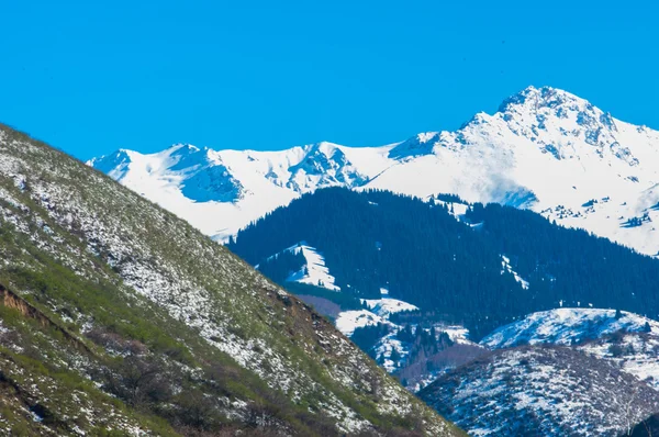 Kazachstan Tien Shan Piękny Krajobraz Widokiem Góry — Zdjęcie stockowe