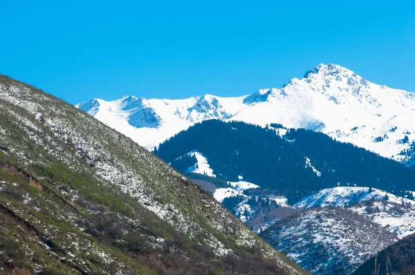 Kazachstan Tien Shan Piękny Krajobraz Widokiem Góry — Zdjęcie stockowe