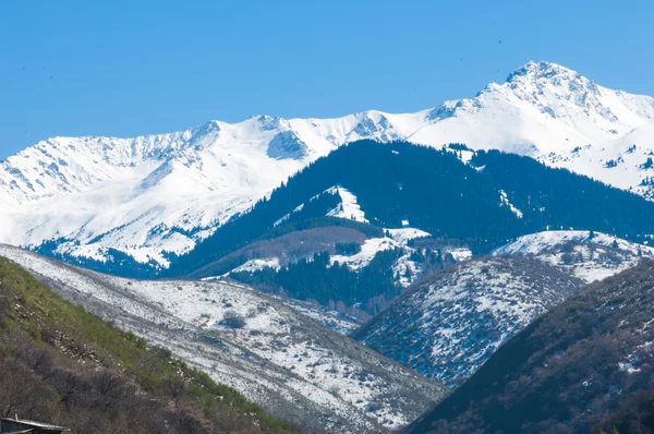 Kazakistan Tien Shan Dağ Manzaralı Güzel Manzara — Stok fotoğraf