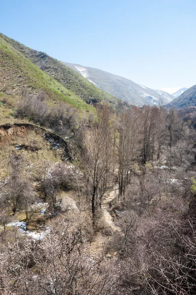 Primavera Montanha Cazaquistão Tien Shan Bela Paisagem Com Vista Para — Fotografia de Stock