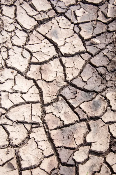 Cracked Earth Texture Prolonged Drought — Stock Photo, Image