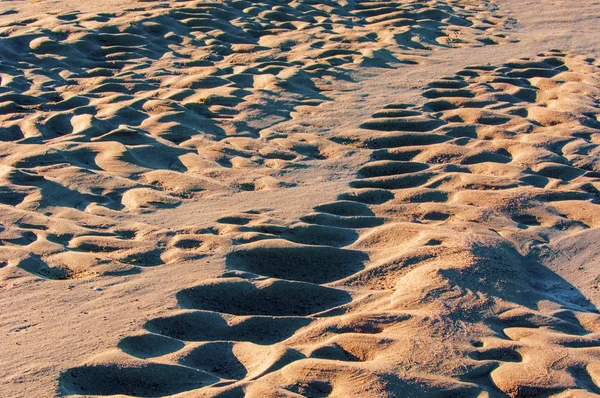 Textura Areia Areia Natureza Selvagem — Fotografia de Stock