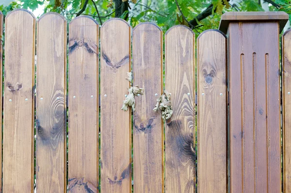 Textura Estructura Madera — Foto de Stock