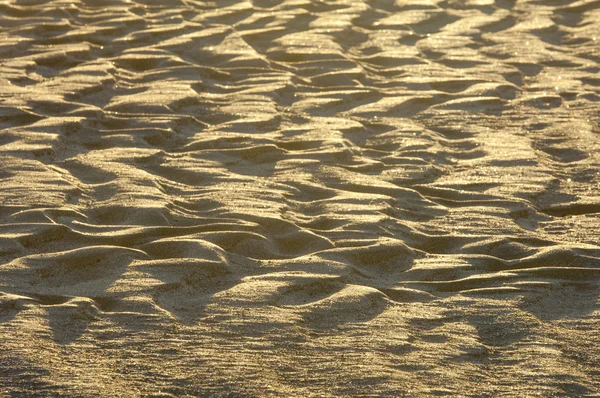 Die Textur Des Sandes Sand Der Wilden Natur — Stockfoto