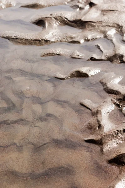 The texture of the sand. Sand in the wild nature