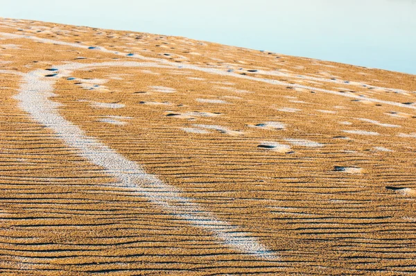 Textura Areia Areia Natureza Selvagem — Fotografia de Stock