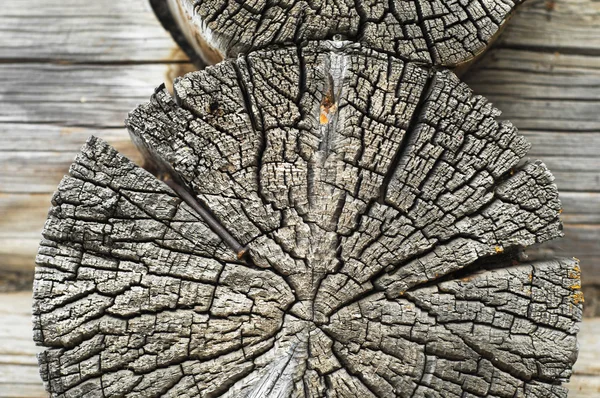 Texture Old Wood Structure — Stock Photo, Image