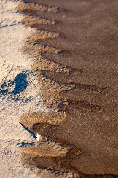 Texture Sand Sand Wild Nature — Stock Photo, Image