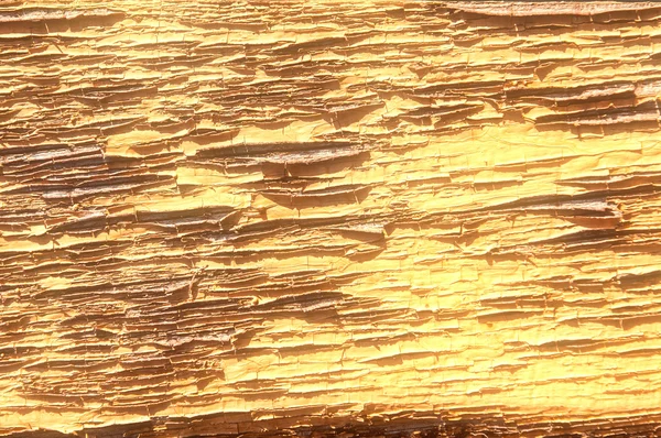 Текстура Древесины — стоковое фото