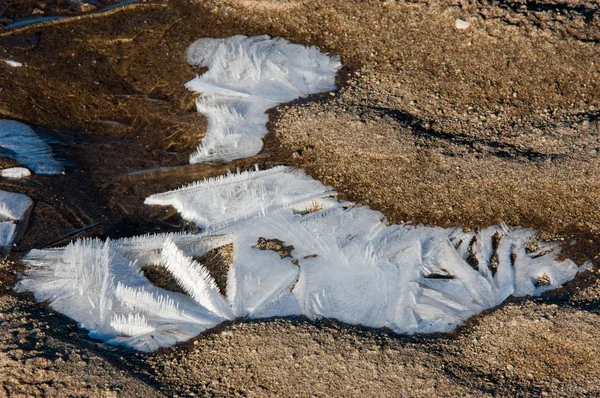 Die Textur Des Sandes Sand Der Wilden Natur — Stockfoto