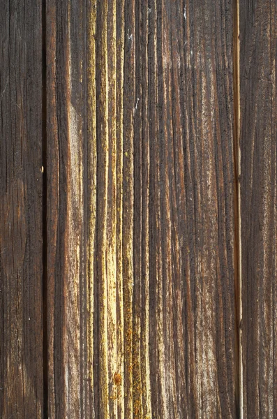 Textura Estrutura Madeira Velha — Fotografia de Stock