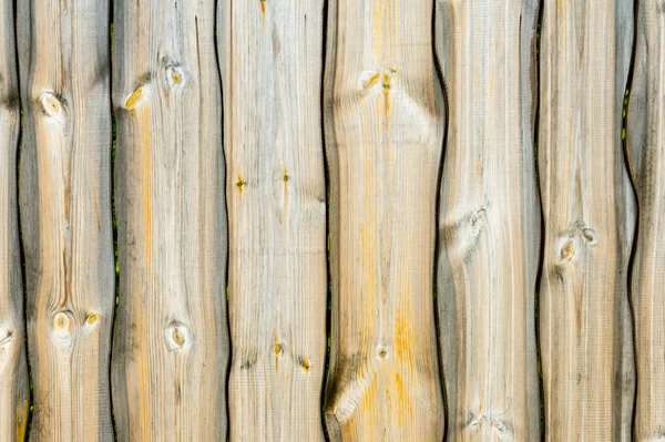 纹理的木材 — 图库照片