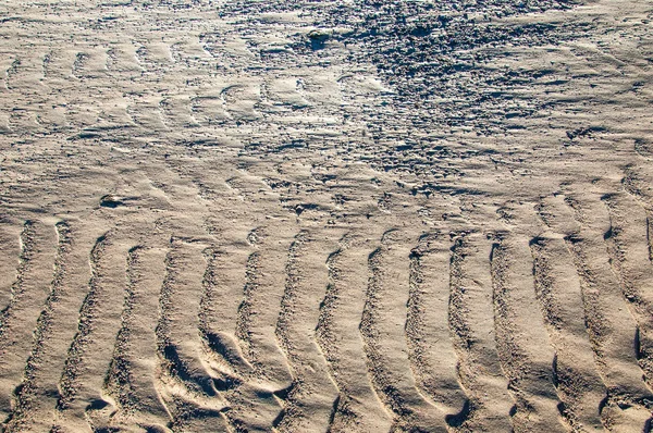 Die Textur Des Sandes Sand Der Wilden Natur — Stockfoto