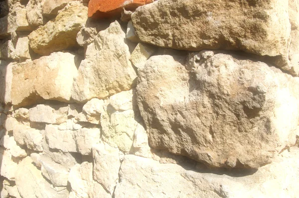 石のテクスチャ 野生の撮影 — ストック写真