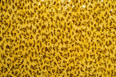 Hindistan'ın bir desenli kumaş