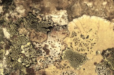 paslı demir doku. Arka plan için eski paslı metal plaka. 