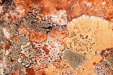 paslı demir doku. Arka plan için eski paslı metal plaka. 