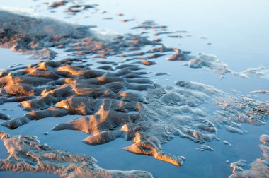 Kum doku. Vahşi doğada kum
