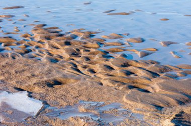 Kum doku. Vahşi doğada kum