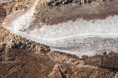 Kum doku. Vahşi doğada kum