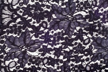 Doku. dantel kumaş. Stüdyoda fotoğraf dantel kumaş üretti