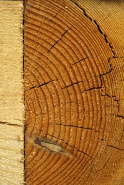 Doku eski ahşap yapı.