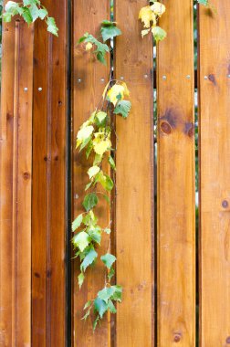 Ahşap yapı dokusuna.