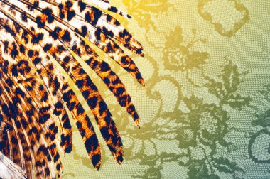 İyi bir açık kumaş