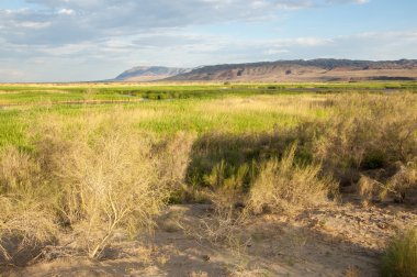 Bozkır yaz. Turgai kapısı. Turgai Kaydet. Milli Parkı 