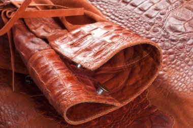 Timsah Cilt. Sanatsal deri timsah