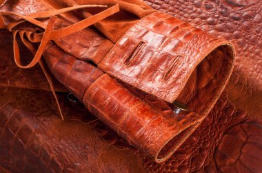 Timsah Cilt. Sanatsal deri timsah