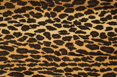 Kumaş doku Leopard altında gölgeli. doku, tekstil, malzeme,